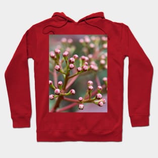 Button flowers Hoodie